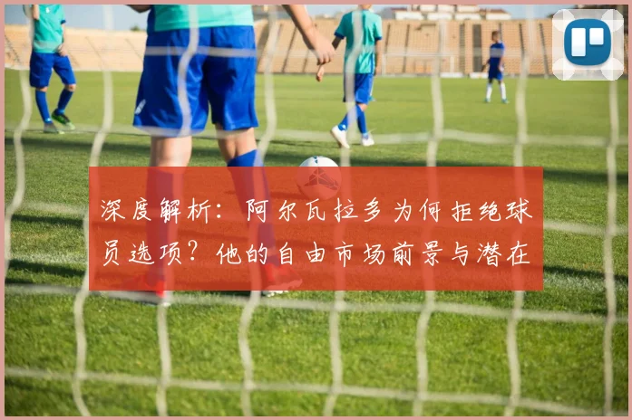 深度解析：阿尔瓦拉多为何拒绝球员选项？他的自由市场前景与潜在下家分析